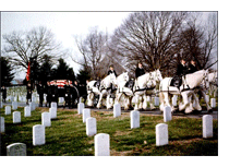 Arlington Cemetary